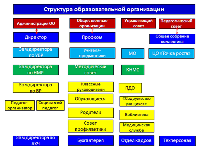 Структура образовательной организации.
